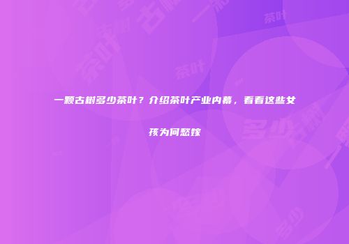 一颗古树多少茶叶？介绍茶叶产业内幕，看看这些女孩为何愁嫁