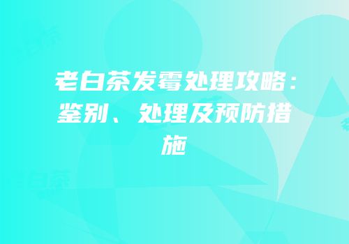 老白茶发霉处理攻略：鉴别、处理及预防措施