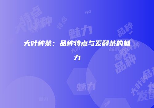 大叶种茶：品种特点与发酵茶的魅力