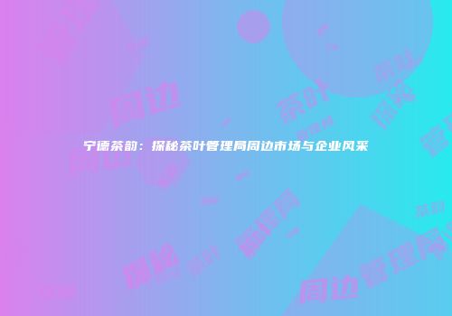 宁德茶韵：探秘茶叶管理局周边市场与企业风采