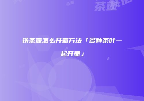 铁茶壶怎么开壶方法「多种茶叶一起开壶」