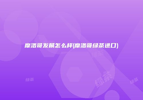 摩洛哥发展怎么样(摩洛哥绿茶进口)
