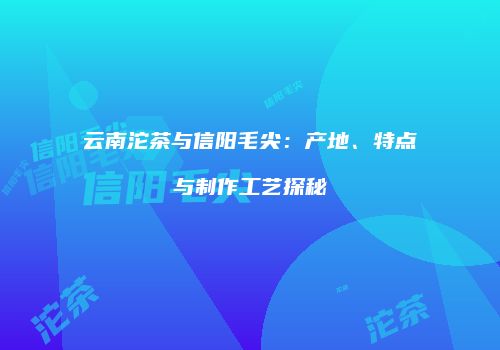 云南沱茶与信阳毛尖：产地、特点与制作工艺探秘