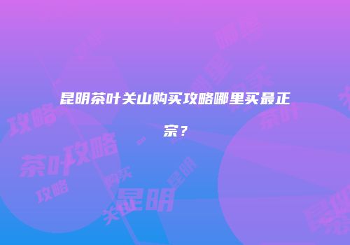 昆明茶叶关山购买攻略哪里买最正宗？