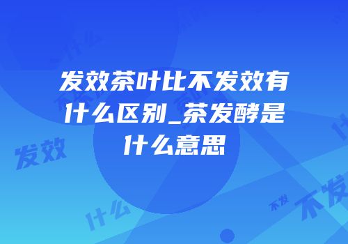 发效茶叶比不发效有什么区别_茶发酵是什么意思