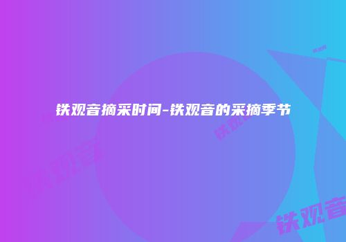 铁观音摘采时间-铁观音的采摘季节