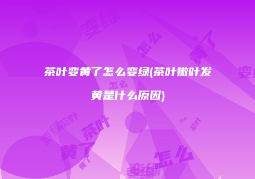 茶叶变黄了怎么变绿(茶叶嫩叶发黄是什么原因)