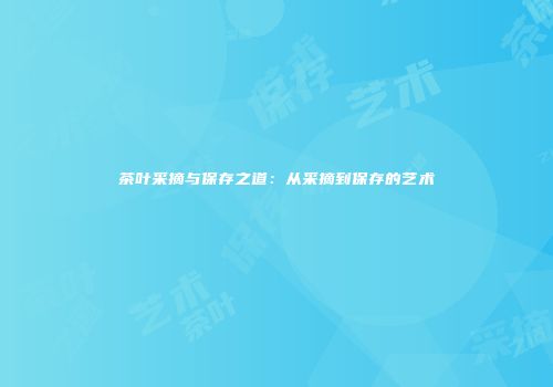 茶叶采摘与保存之道：从采摘到保存的艺术