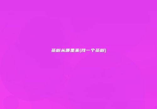 茶树从哪里来(找一个茶树)