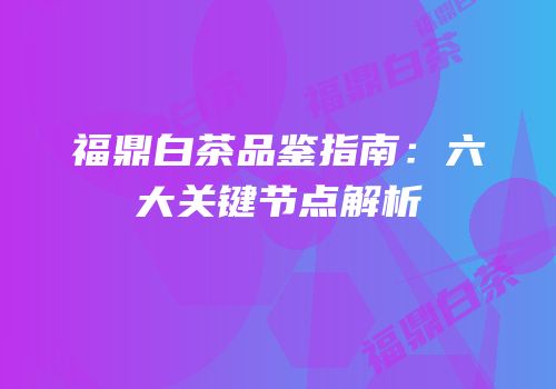 福鼎白茶品鉴指南：六大关键节点解析