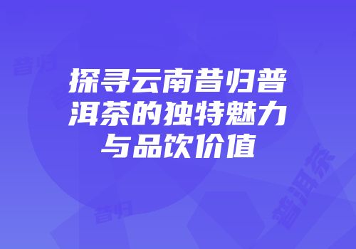 探寻云南昔归普洱茶的独特魅力与品饮价值