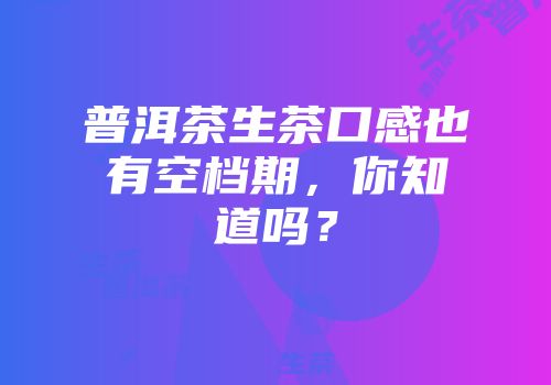 普洱茶生茶口感也有空档期，你知道吗？