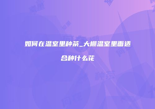 如何在温室里种茶_大棚温室里面适合种什么花
