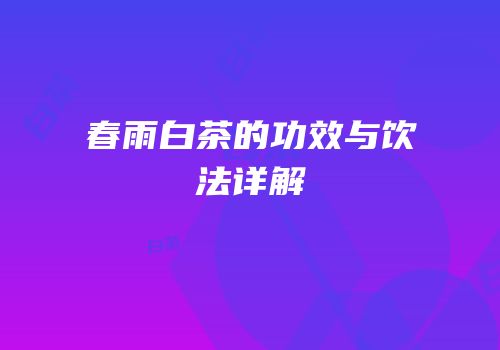 春雨白茶的功效与饮法详解