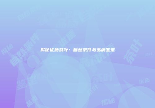 揭秘优质茶叶：自然条件与品质鉴定