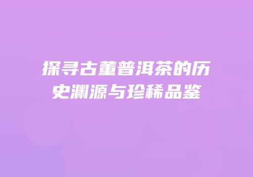探寻古董普洱茶的历史渊源与珍稀品鉴