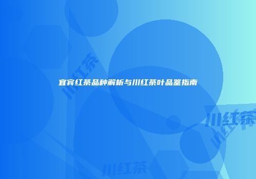 宜宾红茶品种解析与川红茶叶品鉴指南