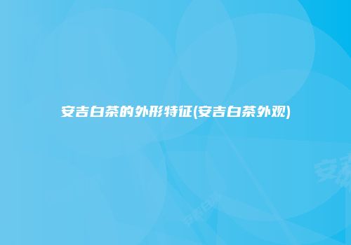 安吉白茶的外形特征(安吉白茶外观)
