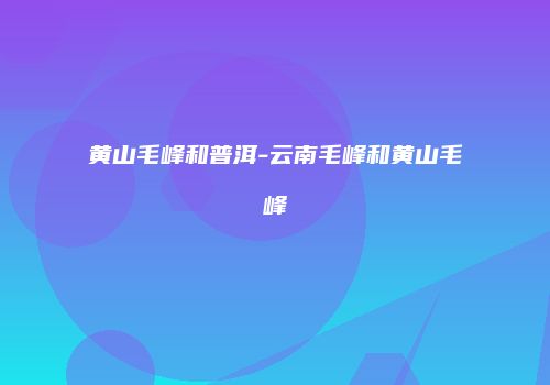 黄山毛峰和普洱-云南毛峰和黄山毛峰