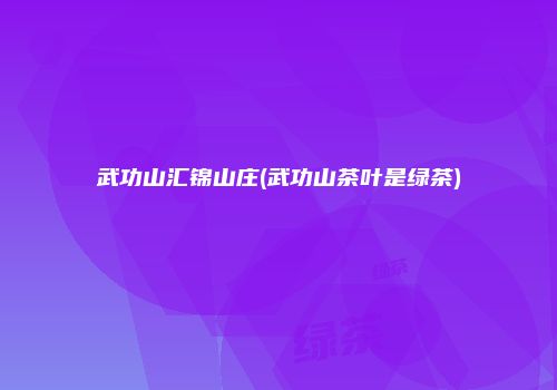 武功山汇锦山庄(武功山茶叶是绿茶)