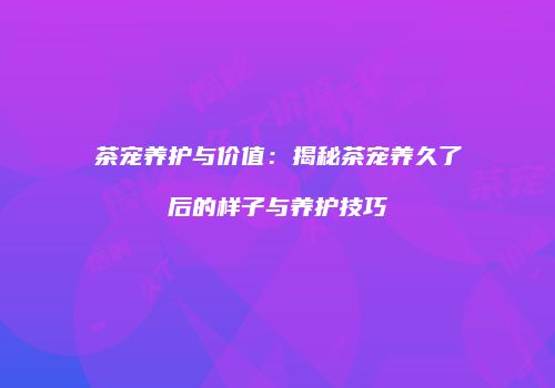 茶宠养护与价值：揭秘茶宠养久了后的样子与养护技巧