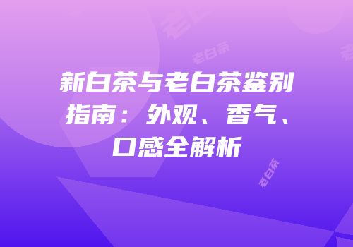 新白茶与老白茶鉴别指南：外观、香气、口感全解析