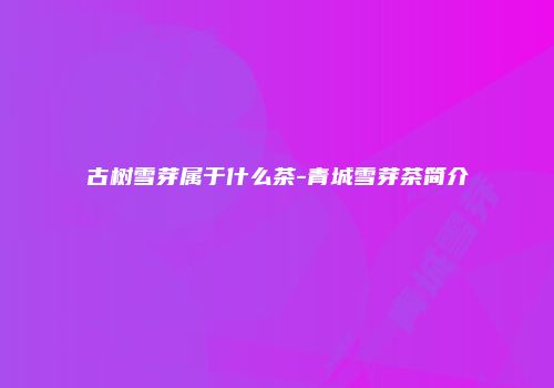 古树雪芽属于什么茶-青城雪芽茶简介