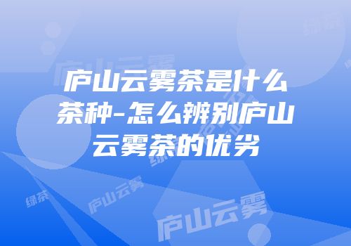 庐山云雾茶是什么茶种-怎么辨别庐山云雾茶的优劣
