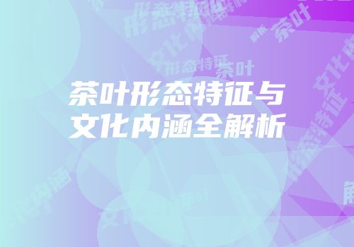 茶叶形态特征与文化内涵全解析