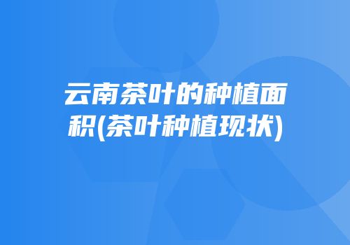 云南茶叶的种植面积(茶叶种植现状)