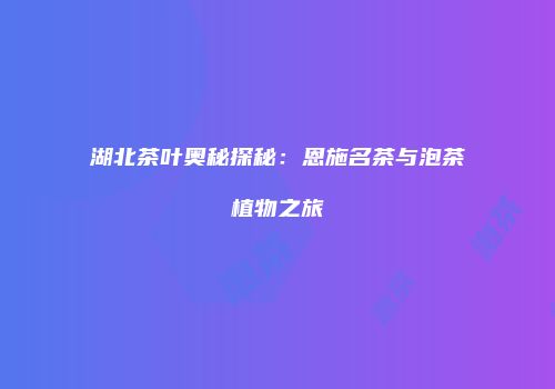 湖北茶叶奥秘探秘：恩施名茶与泡茶植物之旅