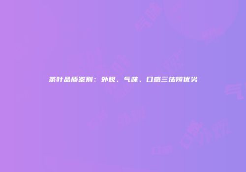 茶叶品质鉴别：外观、气味、口感三法辨优劣