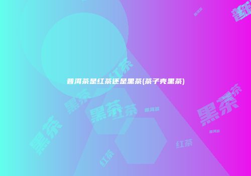 普洱茶是红茶还是黑茶(茶子壳黑茶)