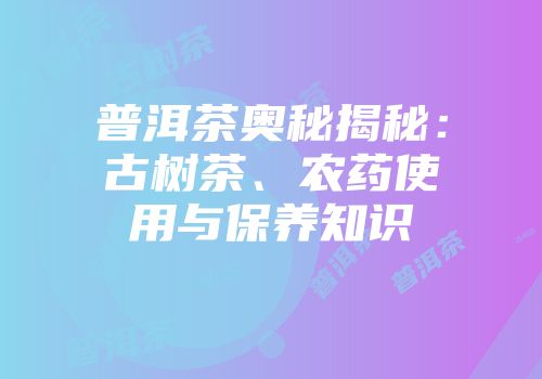 普洱茶奥秘揭秘：古树茶、农药使用与保养知识