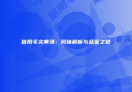 信阳毛尖黄汤：风味解析与品鉴之道