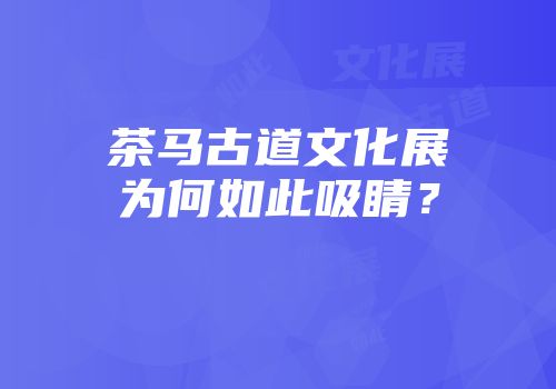 茶马古道文化展为何如此吸睛？