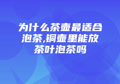 为什么茶壶最适合泡茶,铜壶里能放茶叶泡茶吗