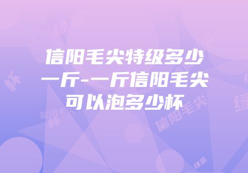 信阳毛尖特级多少一斤-一斤信阳毛尖可以泡多少杯