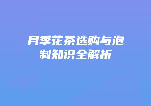 月季花茶选购与泡制知识全解析