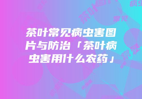 茶叶常见病虫害图片与防治「茶叶病虫害用什么农药」