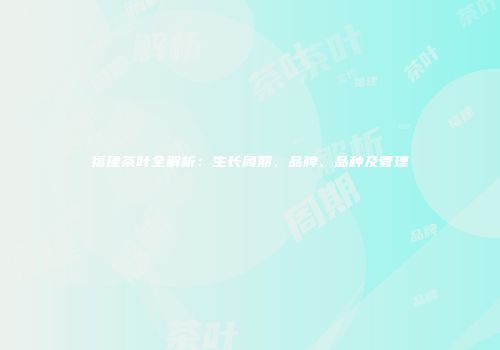 福建茶叶全解析：生长周期、品牌、品种及管理