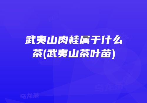 武夷山肉桂属于什么茶(武夷山茶叶苗)