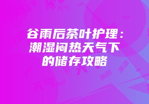 谷雨后茶叶护理：潮湿闷热天气下的储存攻略