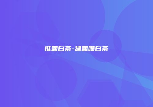 推盏白茶-建盏喝白茶