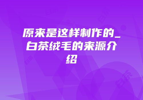 原来是这样制作的_白茶绒毛的来源介绍