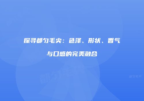 探寻都匀毛尖：色泽、形状、香气与口感的完美融合