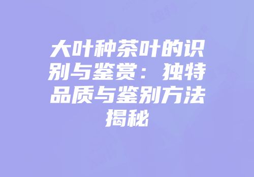 大叶种茶叶的识别与鉴赏：独特品质与鉴别方法揭秘