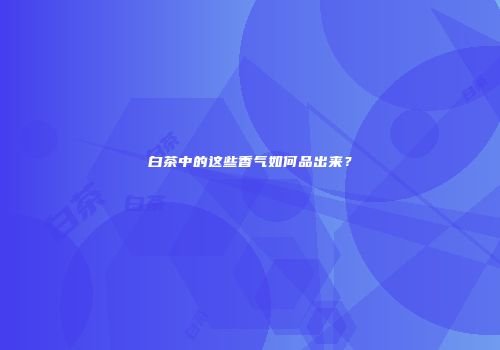 白茶中的这些香气如何品出来？
