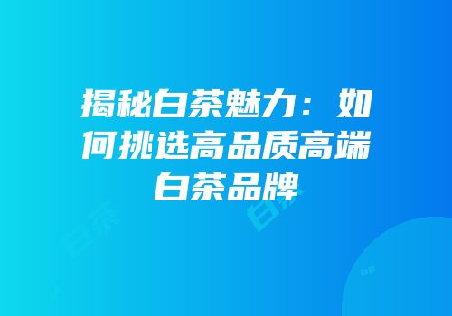 揭秘白茶魅力：如何挑选高品质高端白茶品牌