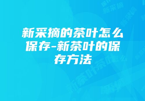 新采摘的茶叶怎么保存-新茶叶的保存方法